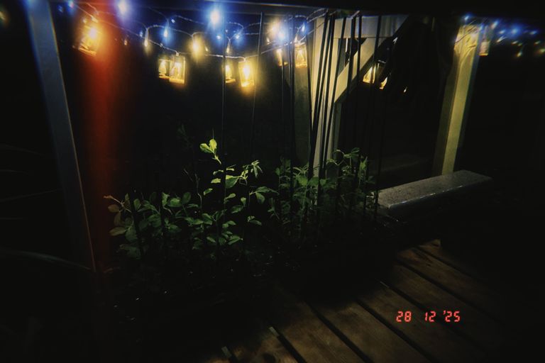 Artwork from project Studio and Life